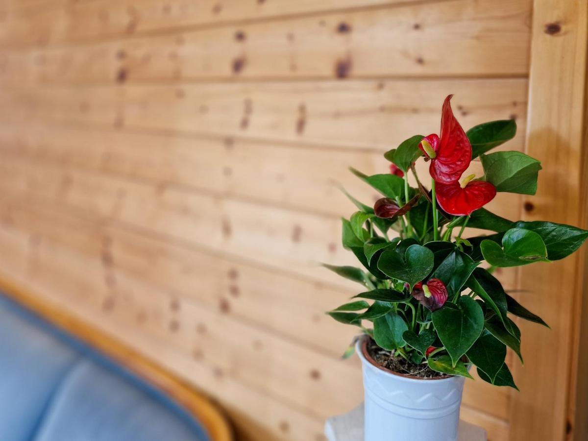 Ferien Vom Ich, Bayerischer Wald, Hotel & Restaurant Нойкирхен Экстерьер фото