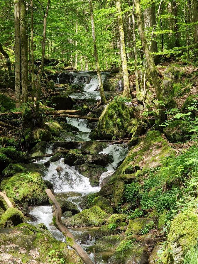 Ferien Vom Ich, Bayerischer Wald, Hotel & Restaurant Нойкирхен Экстерьер фото