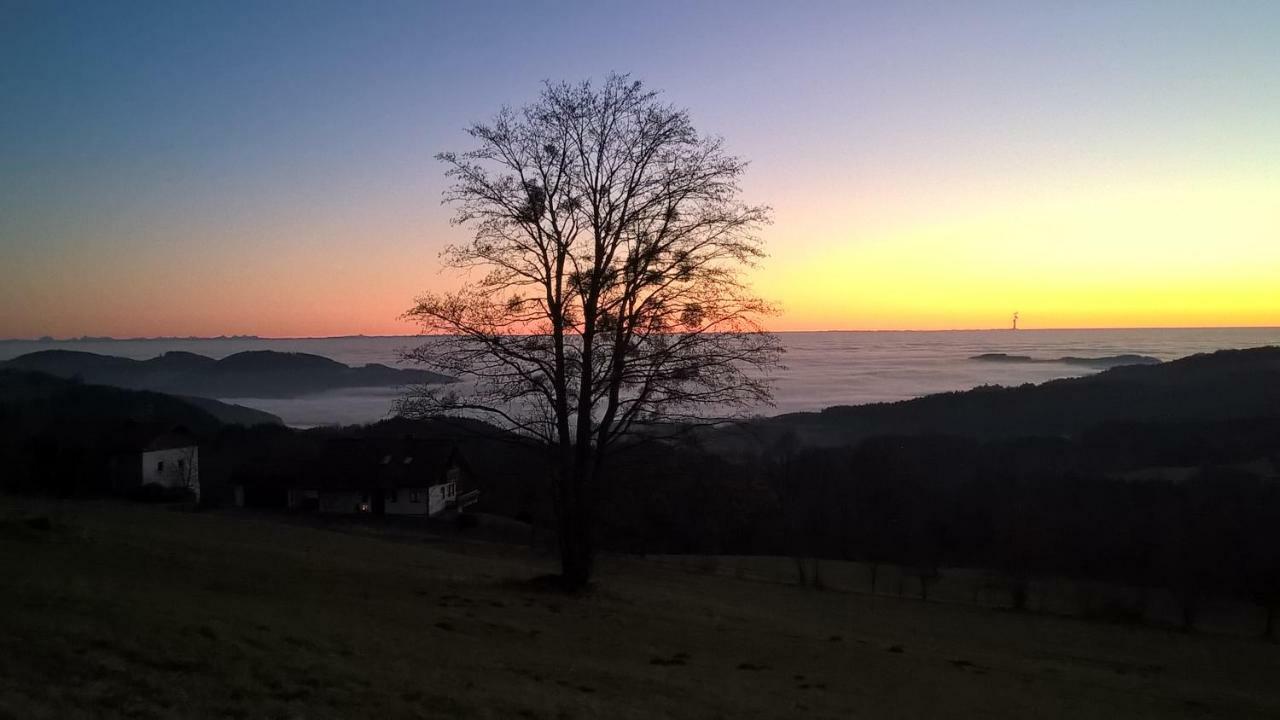 Ferien Vom Ich, Bayerischer Wald, Hotel & Restaurant Нойкирхен Экстерьер фото