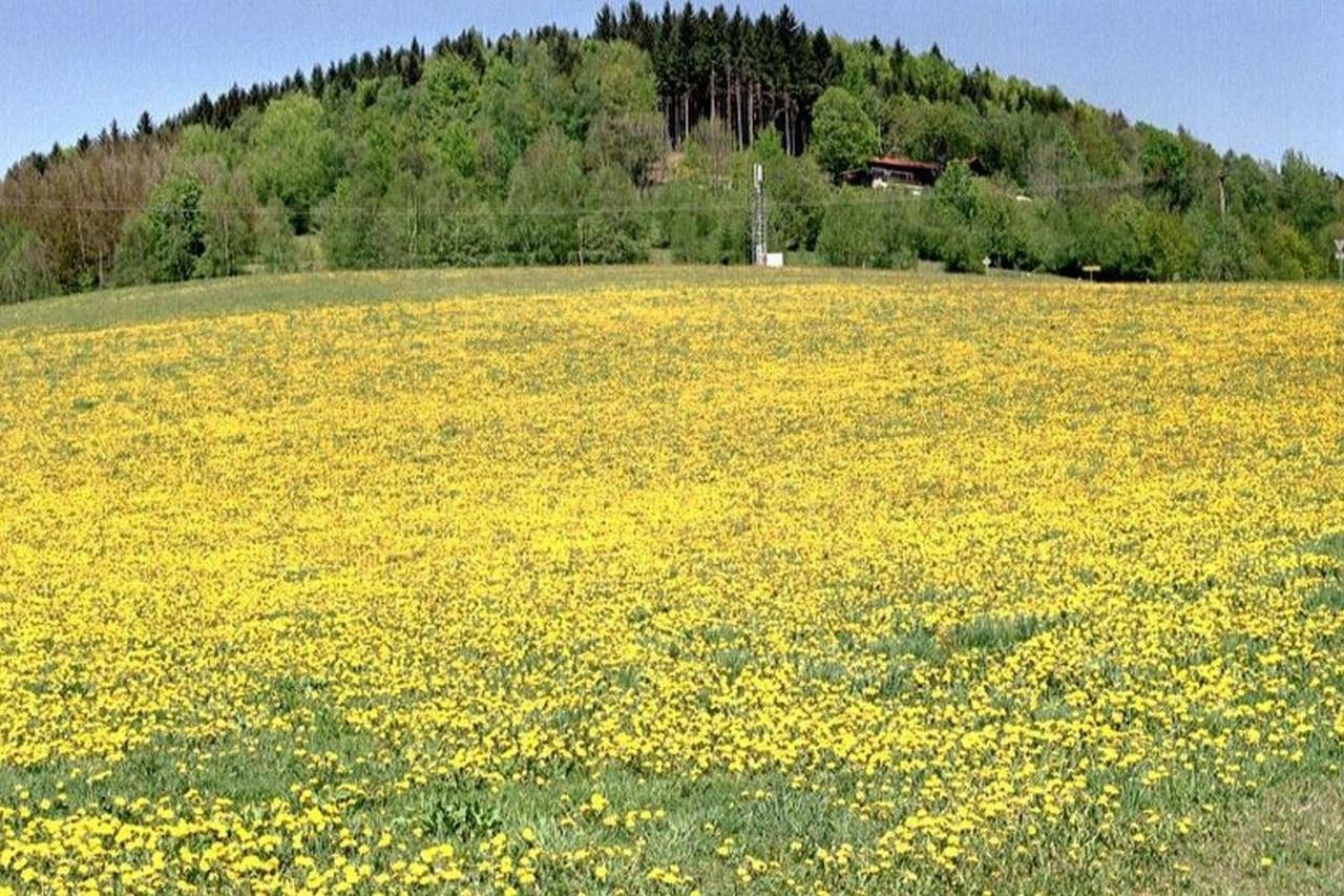 Ferien Vom Ich, Bayerischer Wald, Hotel & Restaurant Нойкирхен Экстерьер фото