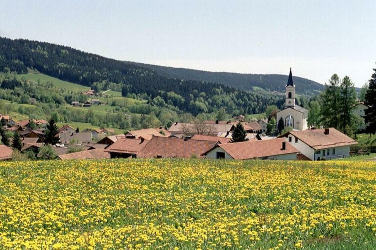 Ferien Vom Ich, Bayerischer Wald, Hotel & Restaurant Нойкирхен Экстерьер фото