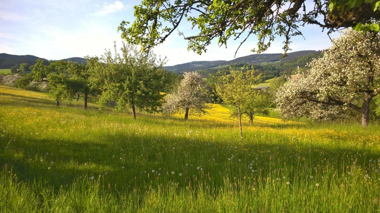 Ferien Vom Ich, Bayerischer Wald, Hotel & Restaurant Нойкирхен Экстерьер фото