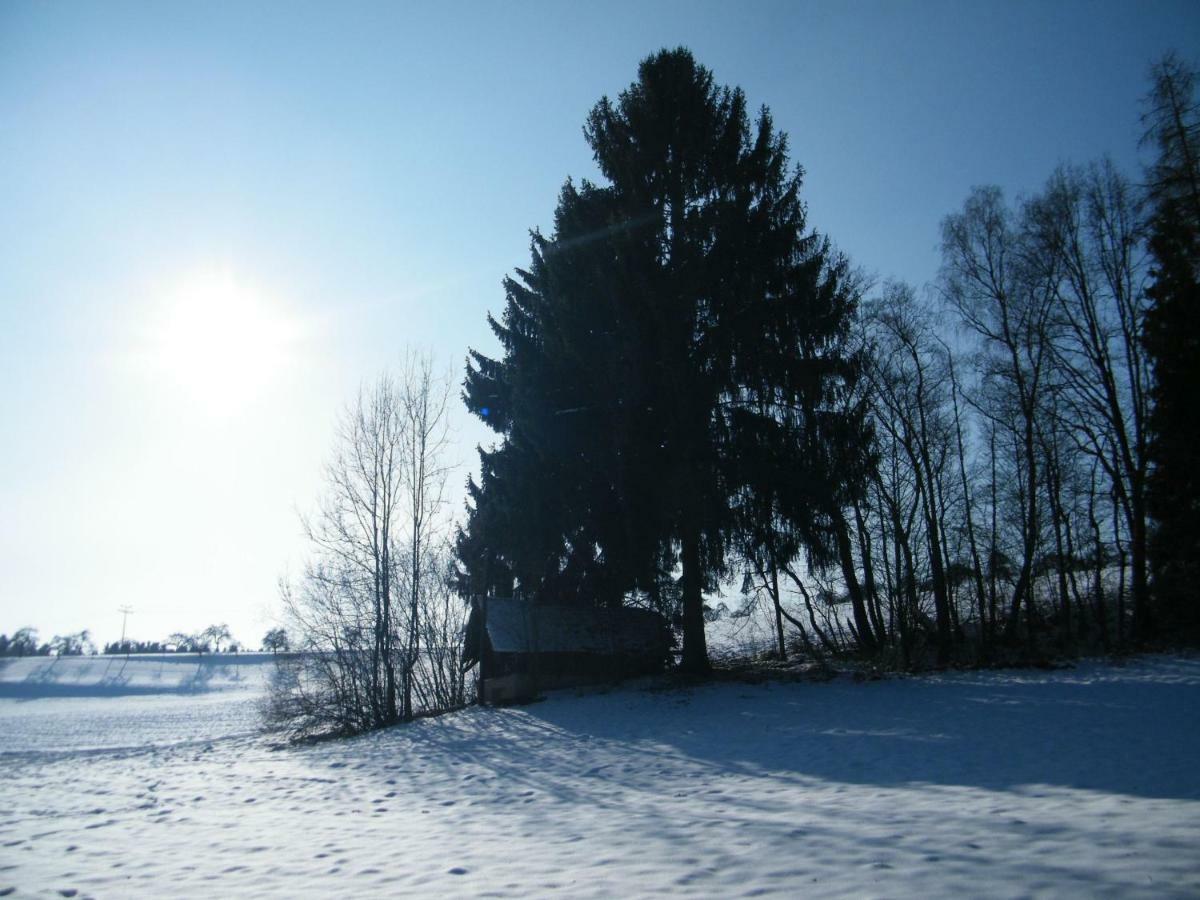 Ferien Vom Ich, Bayerischer Wald, Hotel & Restaurant Нойкирхен Экстерьер фото